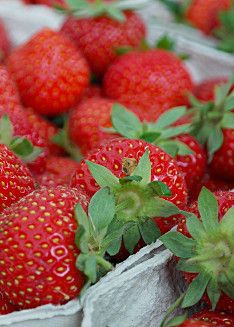 Erdbeeren Schale 250g