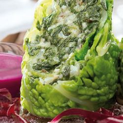 Gefüllte Wirsingröllchen mit Rote-Bete-Sauce