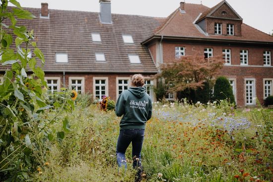 Blumenwiese