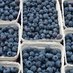 Heidelbeeren