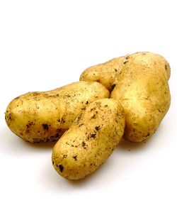 Regionale Frühkartoffeln