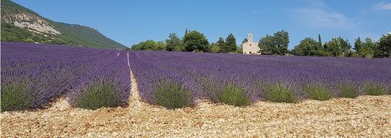 Lavandin Duftsäckchen
