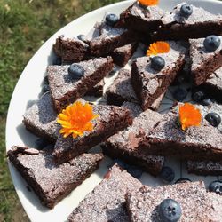 Zucchini-Brownies