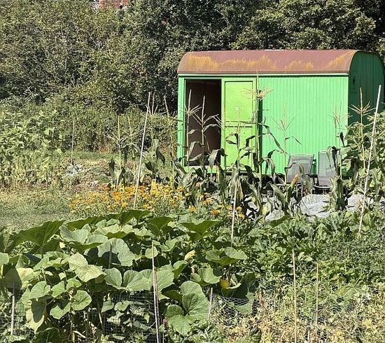 Blümchen Genussgarten