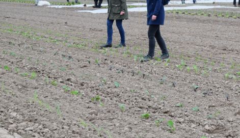Jedes Jahr aufs neue, die erste Arbeit im Genussgarten beginnt mit der Abgrenzung der Parzelle