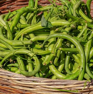 Buschbohnen im Korb