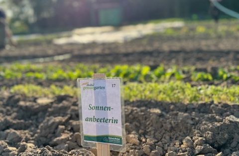 Genussgarten Gartenzwerg