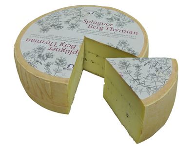 Splügner Bergthymian