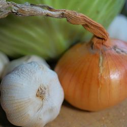 KI generiert: Das Bild zeigt eine Nahaufnahme von frischen Knoblauchknollen, einer Zwiebel und einem grünen Kohl. Die Zutaten liegen auf einer Holzoberfläche und werden von natürlichem Licht beleuchtet.