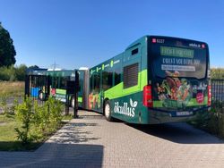 Ökullus Bus von hinten
