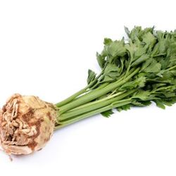 Knollensellerie m Grün