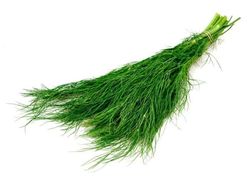 Dill