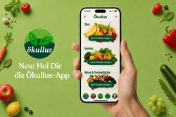 Installation Ökullus App 2026