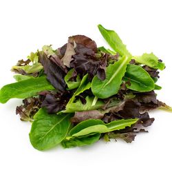 Pflücksalat