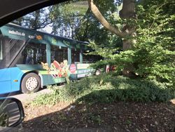 Bus im Wald
