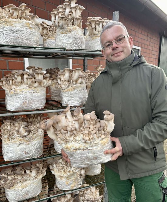 Oliver Hein Kräuterseitling