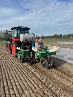 Pflanzungen Genussgärten