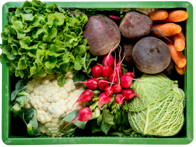 Gemüse aus der Region, wenn möglich aus eigenem Anbau. Im Sommer ergänzt mit regionalem Obst, im Winter mit überregionalem Gemüse.