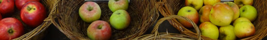 Äpfel in Körben