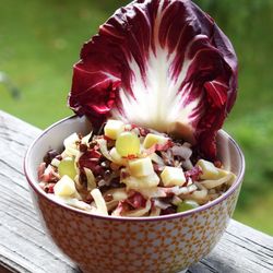 Radicchiosalat mit Orangen