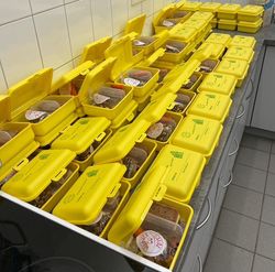 Brotdosen im Packvorgang