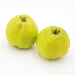 Quitten
