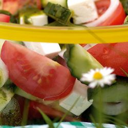 Sommersalat mit Gurke und Tomate