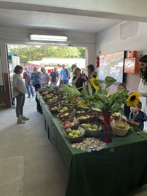 Apfelausstellung Hoffest Nabu