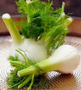 Fenchel vom Hof