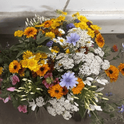 Gewinnspiel Wildblumenstrauß