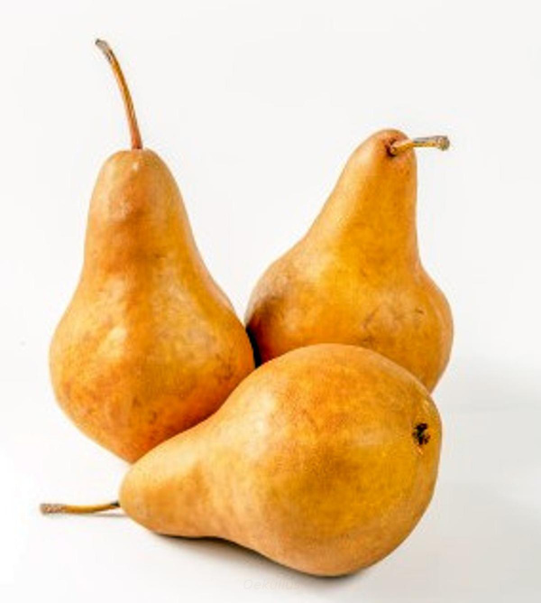 Produktfoto zu Kiste: Birne, Beurre Bosc 15kg