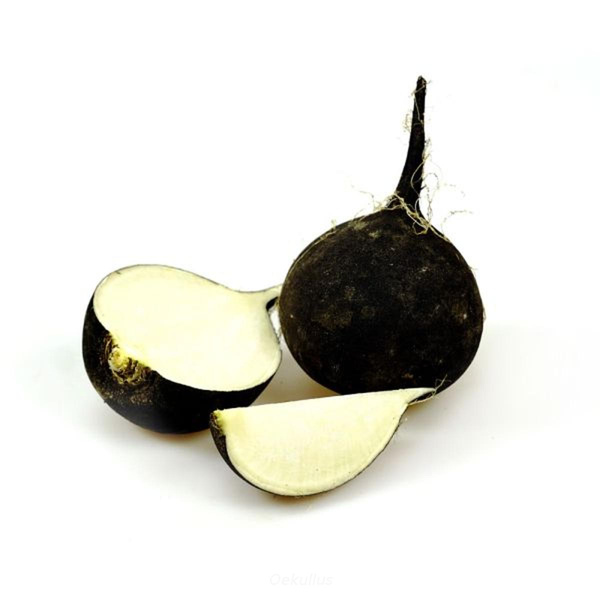 Produktfoto zu Kiste: Rettich schwarz 5kg