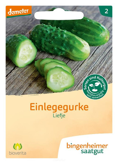 Produktfoto zu Einlegegurke "Liefje" (Saatgut)