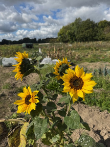 Lieferterminverschiebung Ostern 2025