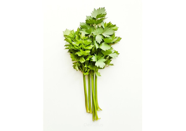 Produktfoto zu Liebstöckel (Bund)