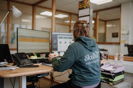 Einkauf Bio Obst und Gemüse bei ökullus in Münster
