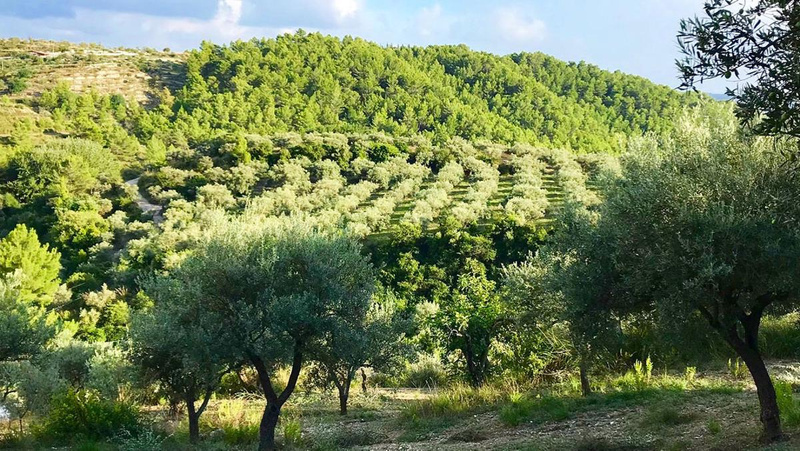 Ölkännchen - Premiumprodukte