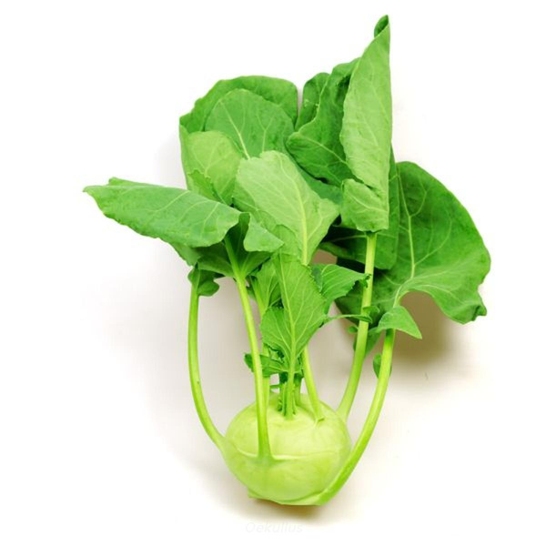 Produktfoto zu Kiste: Kohlrabi 20 St.