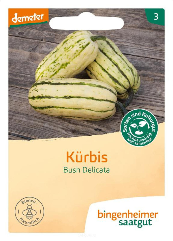 Produktfoto zu Kürbis "Bush Delicata" (Saatgut)