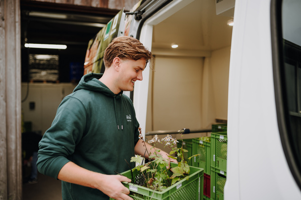KI generiert: Ein Mann lädt grüne Kisten mit Pflanzen in ein Lieferfahrzeug.