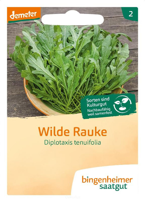Produktfoto zu Wilde Rauke - Salatrauke (Saatgut)
