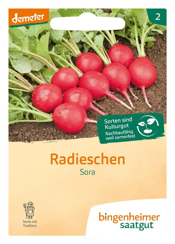 Produktfoto zu Radieschen "Sora" (Saatgut)