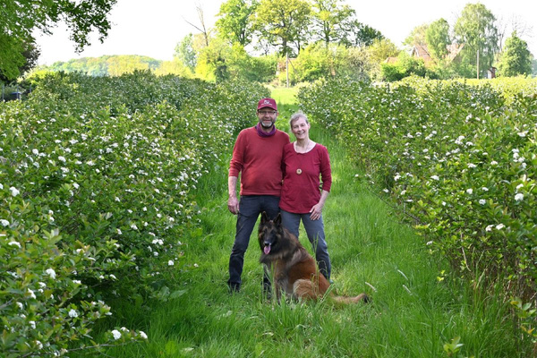KI generiert: Ein Paar steht in einem blühenden Garten zwischen zwei Reihen von Sträuchern, begleitet von einem Hund, der vorne sitzt. Die Umgebung wirkt ländlich und grün.