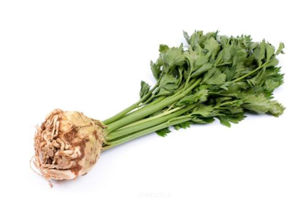 Produktfoto zu Knollensellerie mit Grün