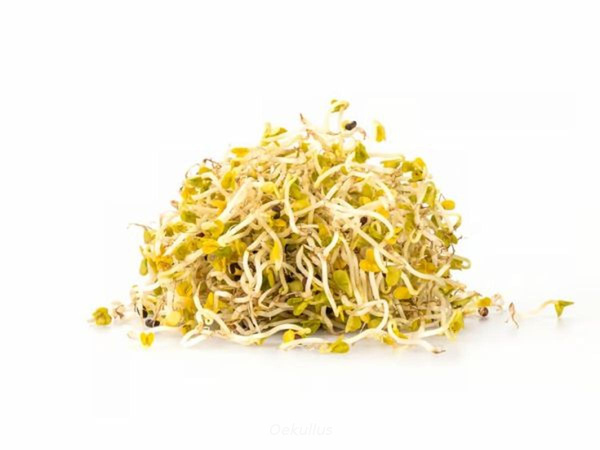 Produktfoto zu Brokkolisprossen