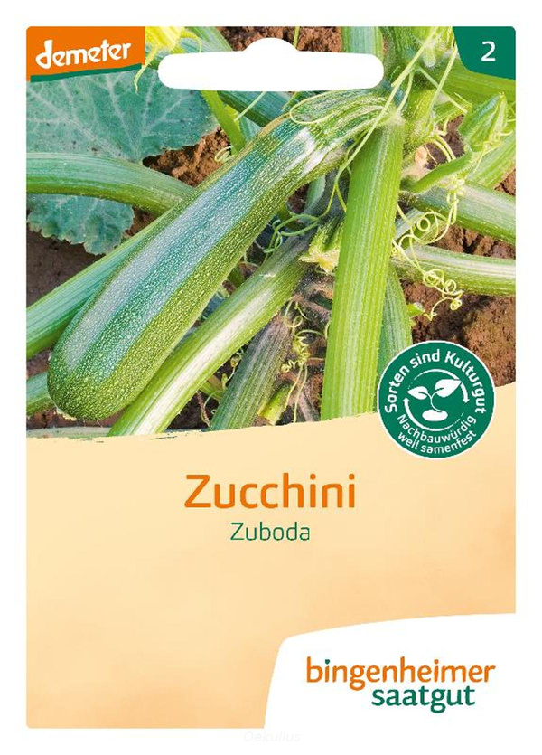 Produktfoto zu Zucchini "Zuboda" (Saatgut)