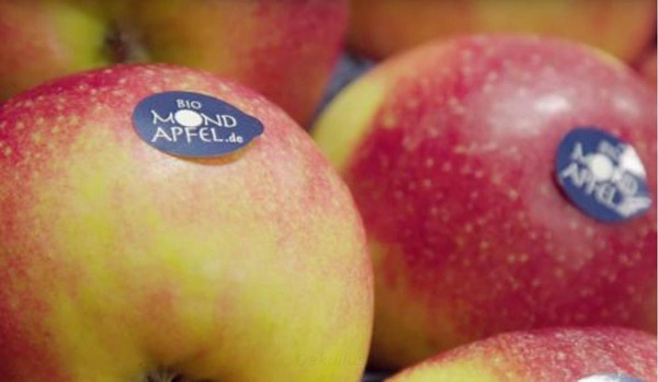Produktfoto zu Apfel, Mondapfel