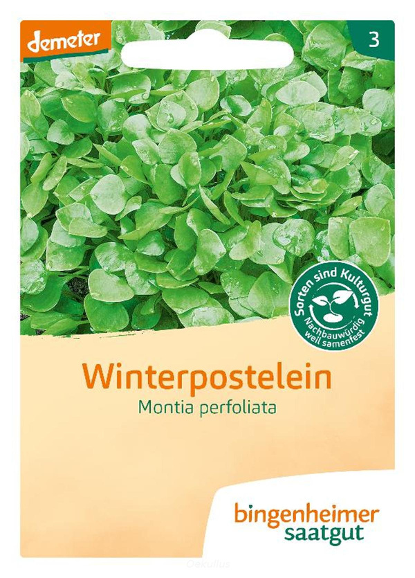 Produktfoto zu Postelein (Saatgut)