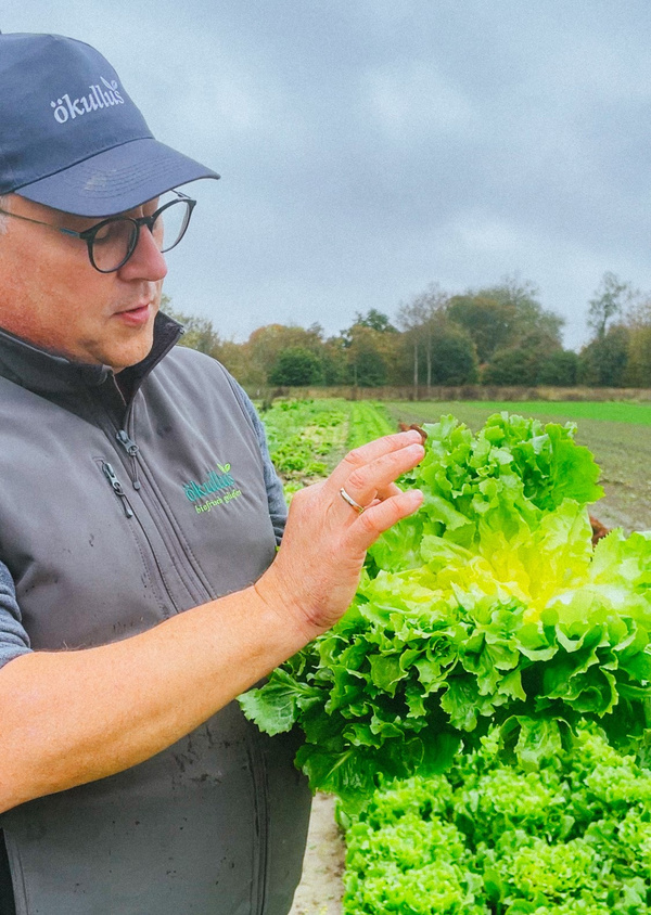 Jörg mit Endiviensalat