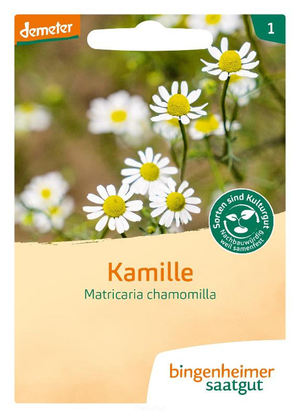 Produktfoto zu Kamille (Saatgut)